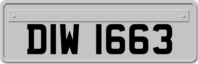 DIW1663