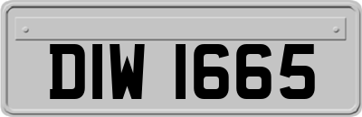 DIW1665
