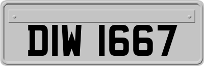 DIW1667