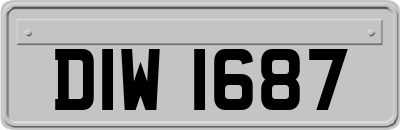 DIW1687