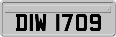 DIW1709