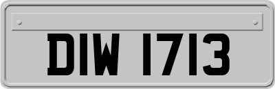 DIW1713