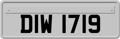 DIW1719