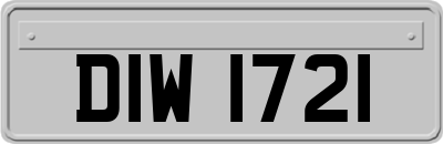 DIW1721