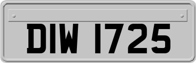 DIW1725