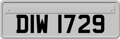 DIW1729
