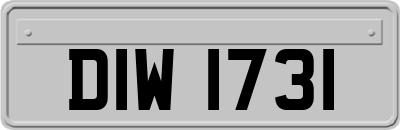 DIW1731