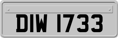 DIW1733