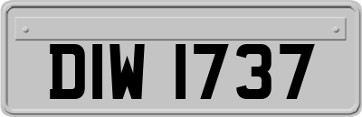 DIW1737