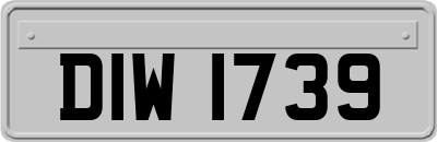 DIW1739