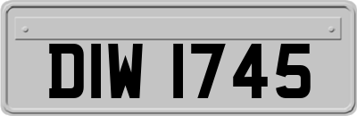 DIW1745