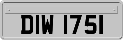 DIW1751
