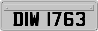 DIW1763