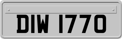 DIW1770