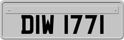 DIW1771