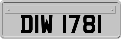 DIW1781