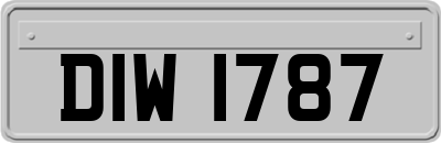 DIW1787
