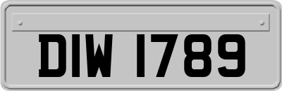 DIW1789