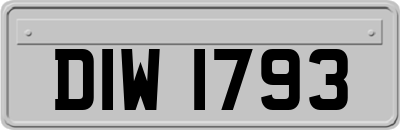 DIW1793