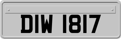 DIW1817