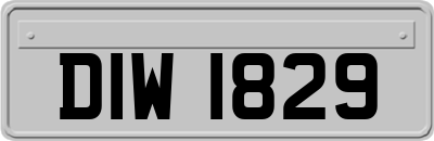 DIW1829