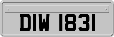 DIW1831