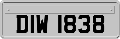 DIW1838