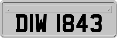 DIW1843