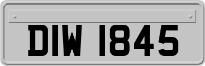 DIW1845