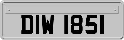 DIW1851