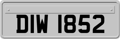 DIW1852