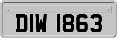 DIW1863