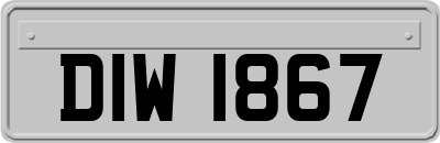 DIW1867
