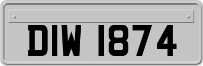 DIW1874