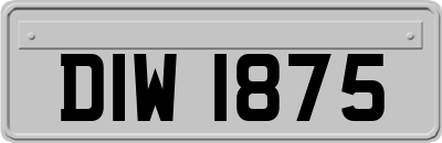 DIW1875