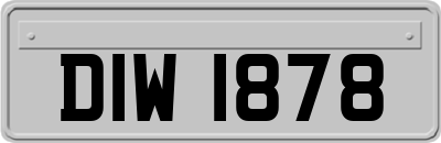 DIW1878