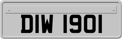 DIW1901