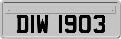 DIW1903