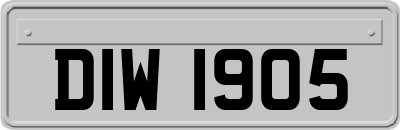 DIW1905