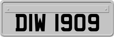 DIW1909