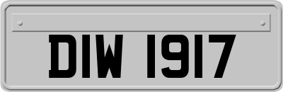 DIW1917