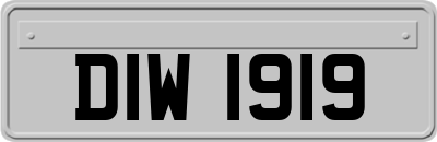 DIW1919