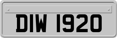 DIW1920