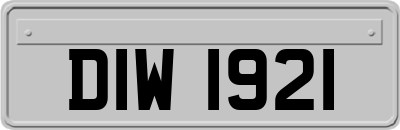 DIW1921