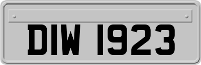 DIW1923