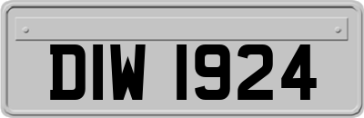 DIW1924