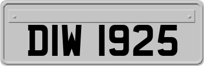 DIW1925