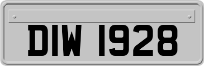 DIW1928