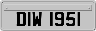 DIW1951