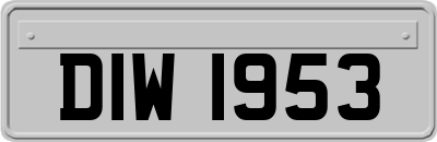 DIW1953